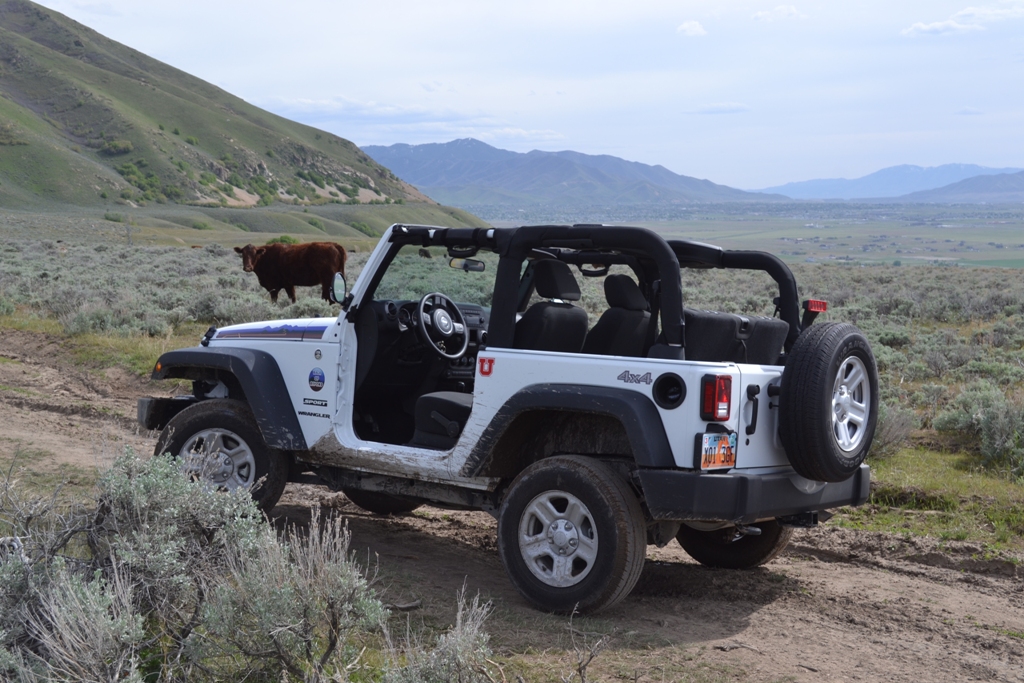 White Jeeps with accent colors? Jeep Wrangler Forum